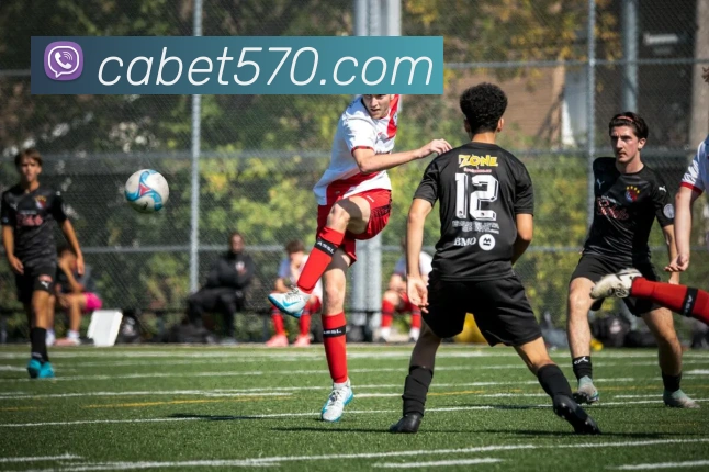 平台使命图